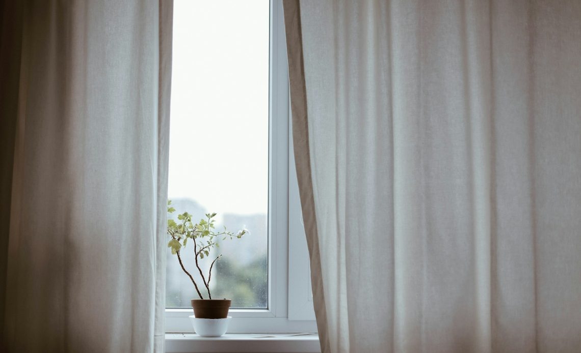 potted plant on window with curtain